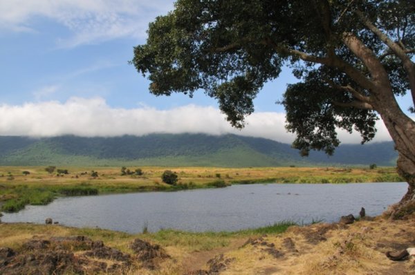 Hippo pool - Ngorongoro Crater, Tanzania