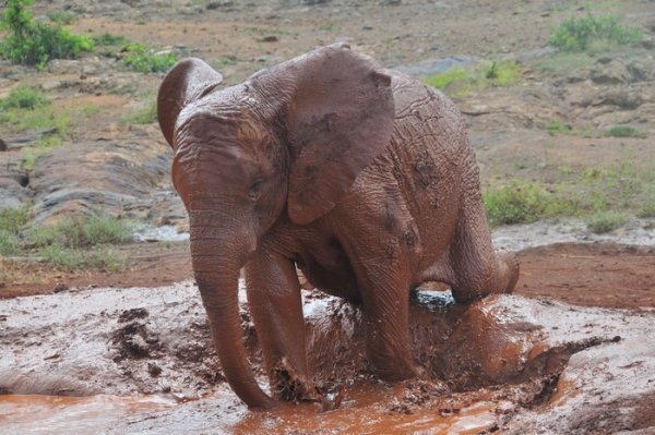 Getting into the mud pool is quite easy...