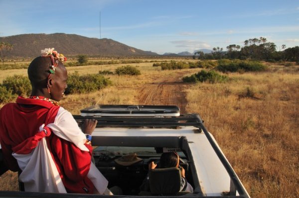 Lekuraiyo scans the horizon for wildlife - Samburu National Reserve, Kenya