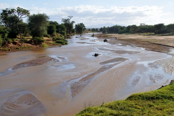 Ewaso River - Samburu National Reserve, Kenya