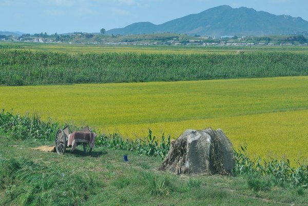 One of the many huts that dot the North Korean countryside