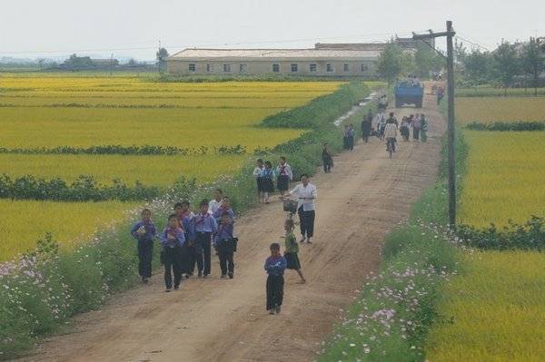 North Korean schoolchildren walk a dusty road