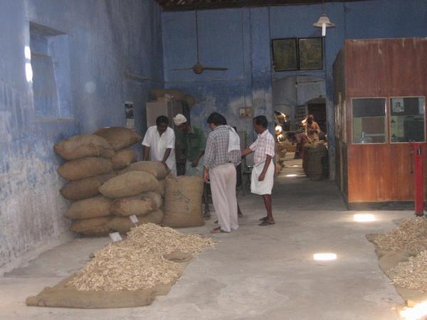 Ginger warehouse trading - Cochin