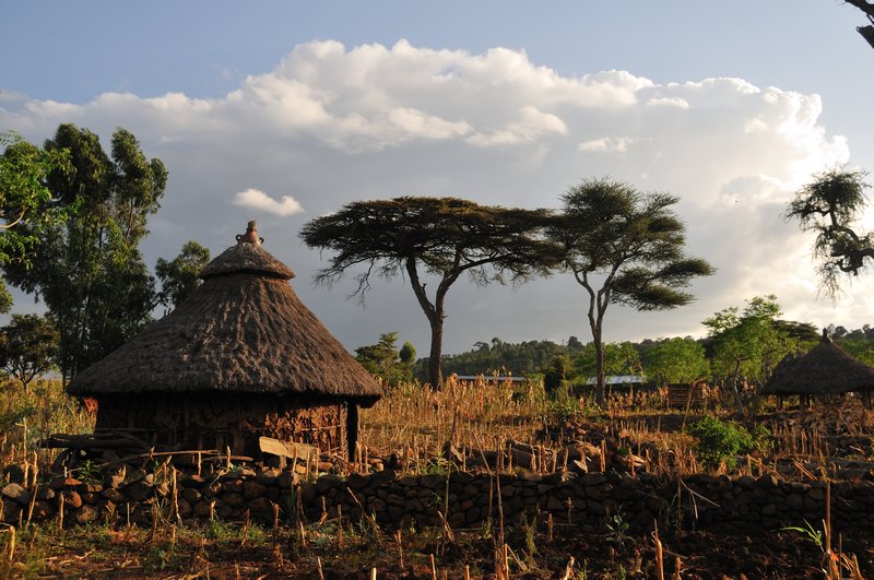 Farm in Konso, Ethiopia