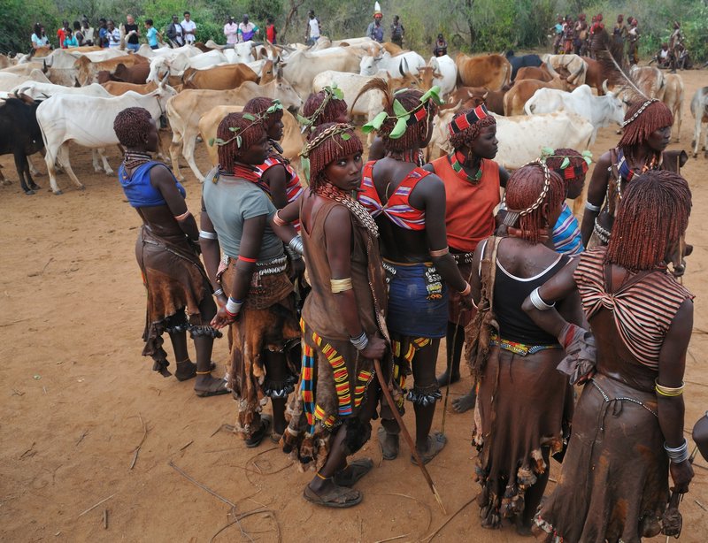 Hamer women gather prior to the climax of the Hamer initiation ceremony - Turmi, Omo Valley, Ethiopia