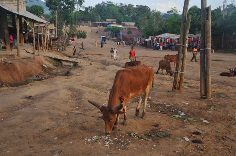 A main street in Jinka - Omo Valley, Ethiopia