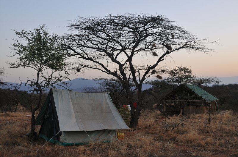 Dusk at the Ewaso Lions camp - West Gate Community Conservancy, Kenya