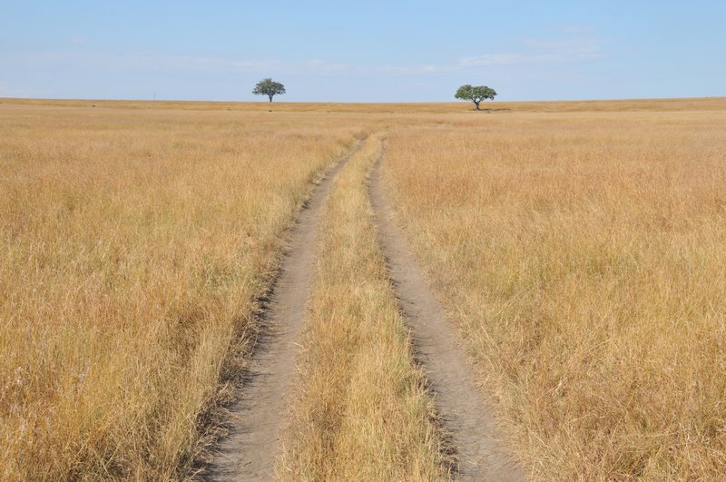 The expansive plains of the Masai Mara National Reserve, Kenya