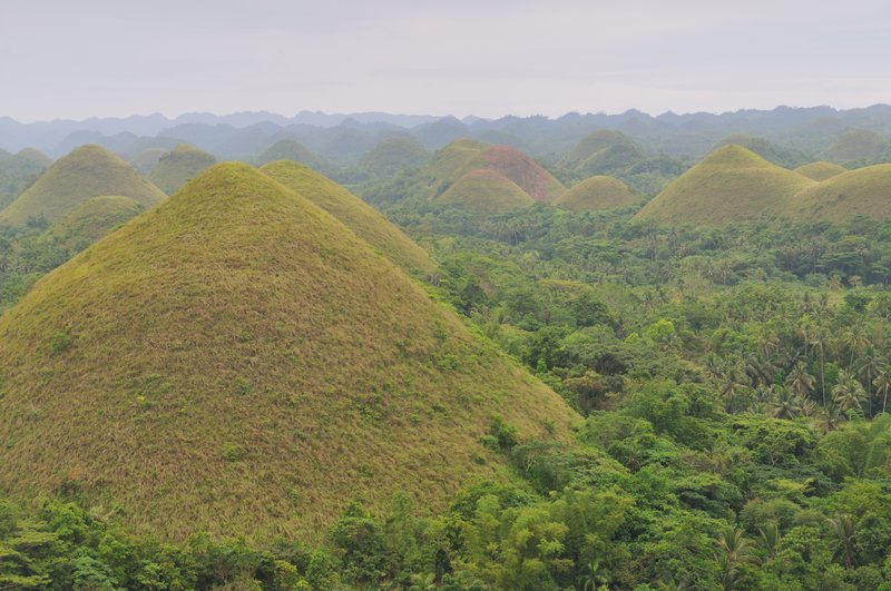 The Chocolate Hills - Bohol Island, Philippines