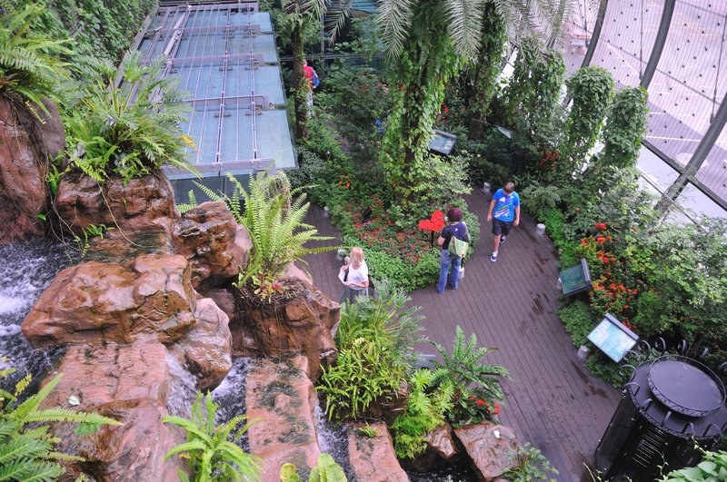 Butterfly Garden at Changi AIrport, Singapore