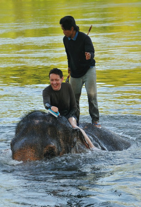 Scrubbing Kammoon in the Kwai River - Elephant's World, Kanchanaburi, Thailand.