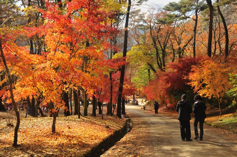 Leaving the Haeinsa Temple - near Daegu, South Korea