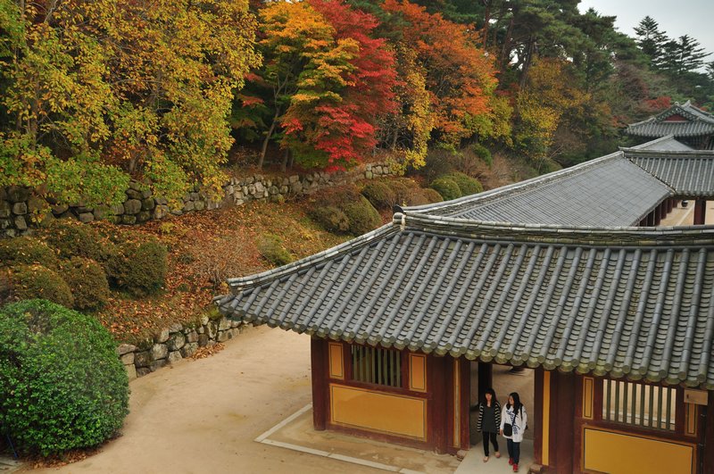 Overlooking part of the Bulguksa Temple - Gyeong-ju, South Korea