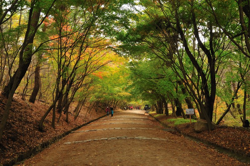 Lower part of walk on Mount Tohamsan - Bulguksa Temple, Gyeong-ju, South Korea