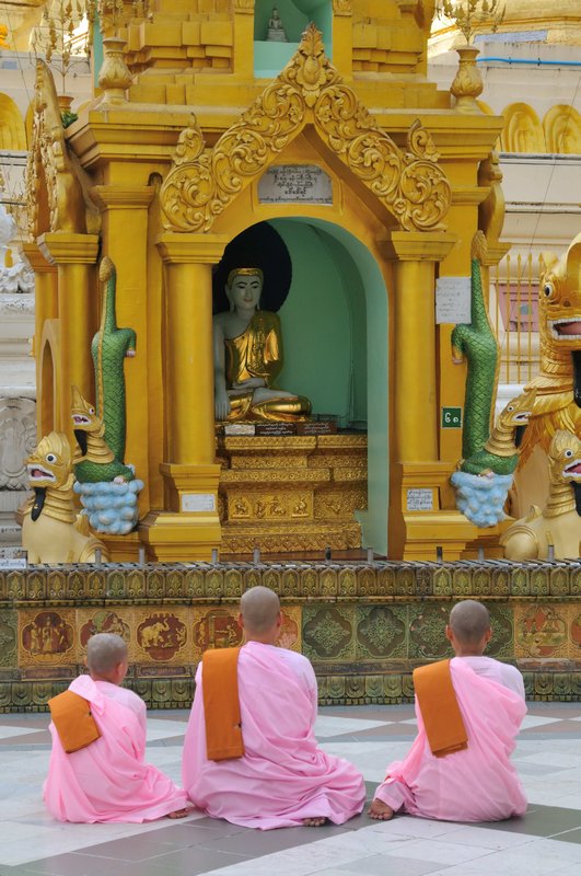 Buddhist nuns praying at Shwedagon Paya, Yangon, Myanmar