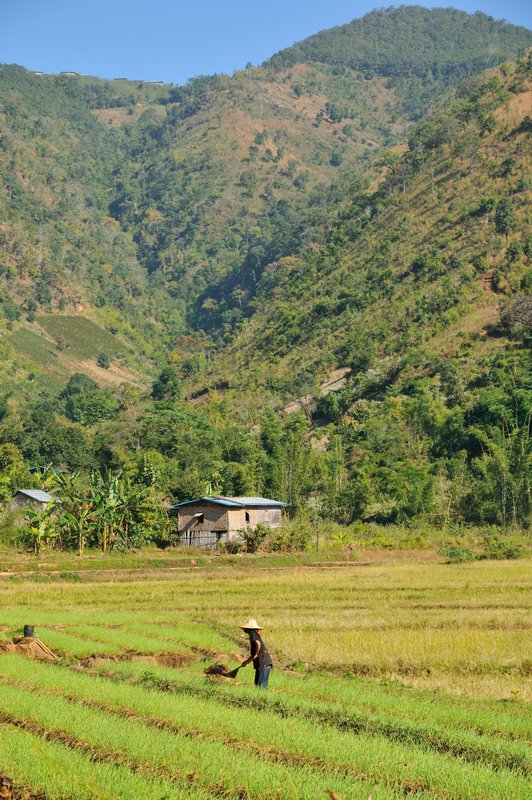 Rural scene around Dat Gyi - Inle Lake, Myanmar