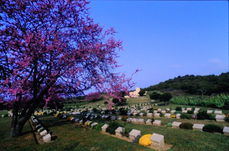 Quinn's Post Cemetery - Gallipoli, Turkey