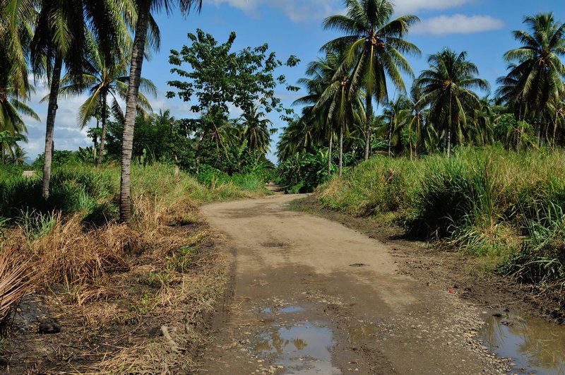 Typcial road on way to Bloody Ridge - Guadalcanal, Solomon Islands
