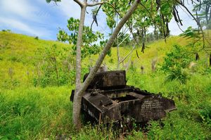 Ruined US Tank near Bonegi Beach -  Guadalcanal, Solomon Islands