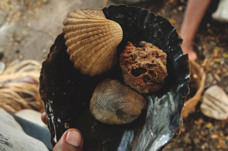 Shells used in the making of money - Langa Langa Lagoon, Malaita, Solomon Islands