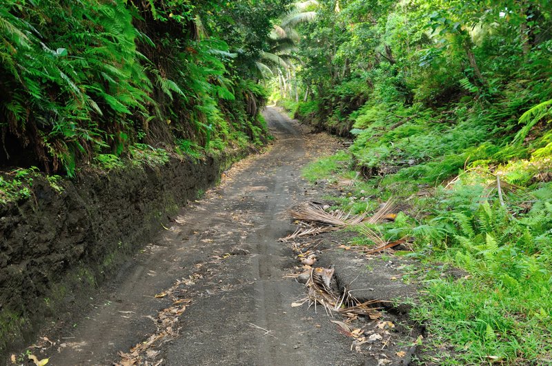 Typical road - Tanna Island, Vanuatu