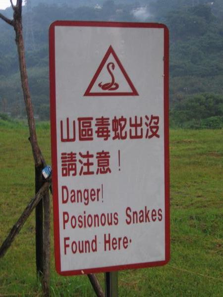 Signs of danger III