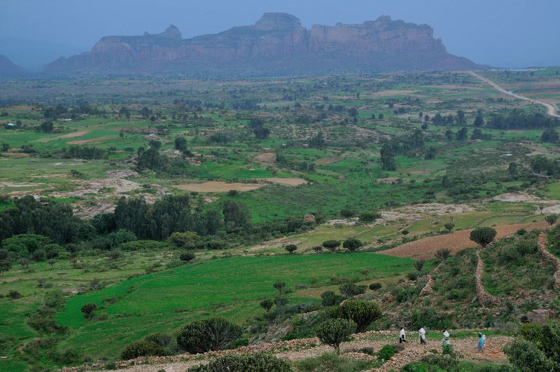 Returning home - Hawzen, TIgray Region, Ethiopia