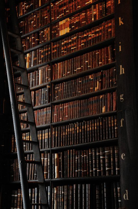 Books in the Long Room of Trinity College Library - Dublin, County Dublin, Ireland