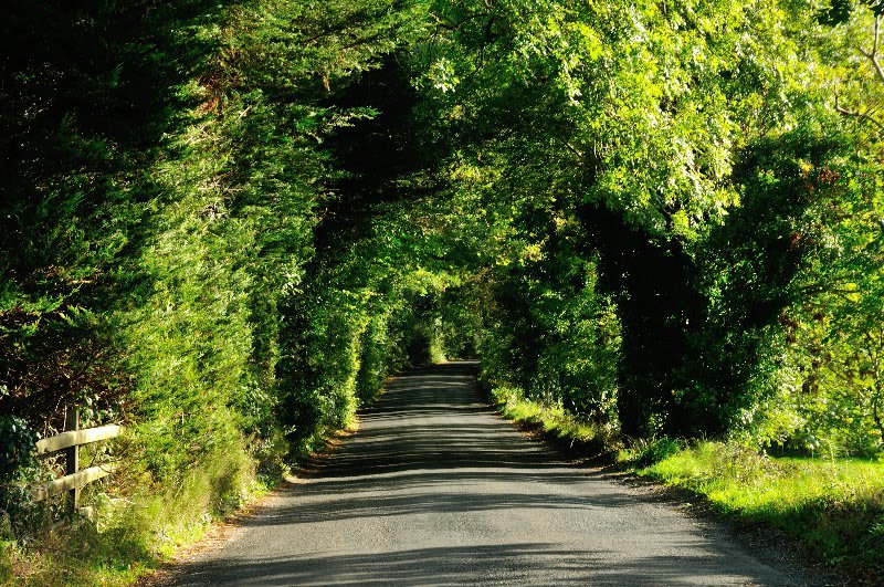 Beautiful roadway - County Donegal, Ireland