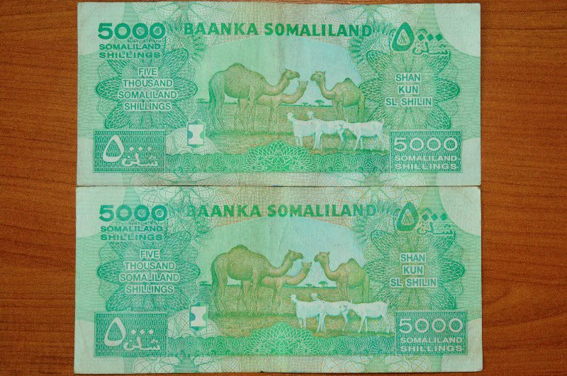 Somaliland money has camels!