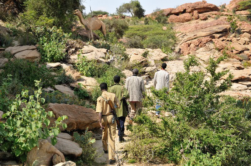 Walking to Las Geel rock art - Somaliland