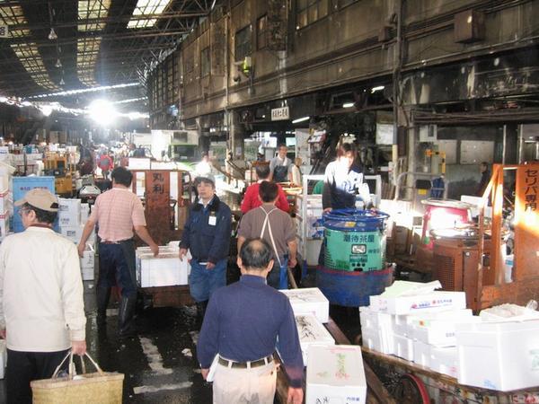 A modicum of disorder in Japan at the Tsukiji Fish Market