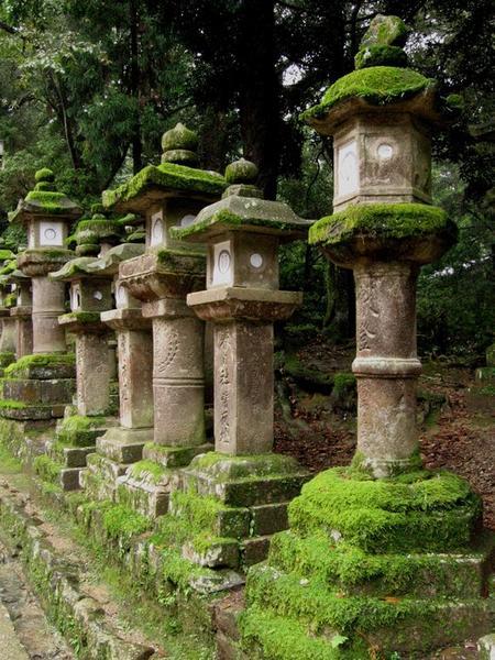 Moss covered toro in Nara - in the park outside Kasuga Taisha, Nara