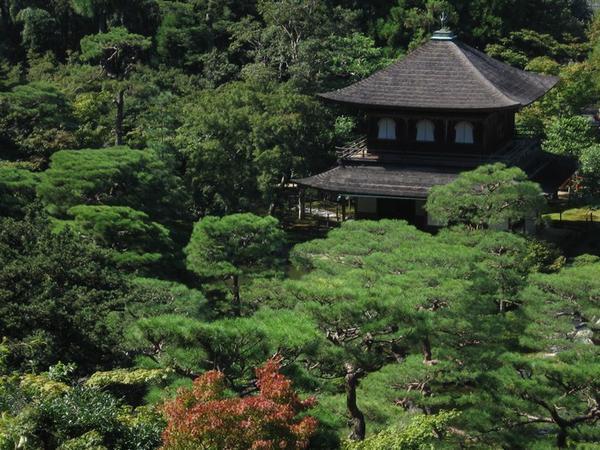 The Gingaku-ji (Silver Pavilion) peers above the tree-line - Kyoto