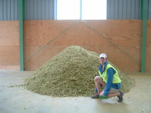 Sarah poses with aroma hops