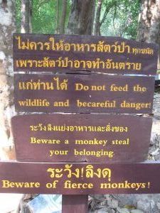 Beware of the Monkeys1