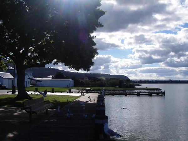 Lakeside at Rotorua