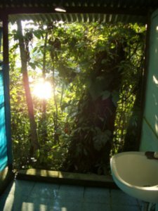 Jungle bathroom Peru
