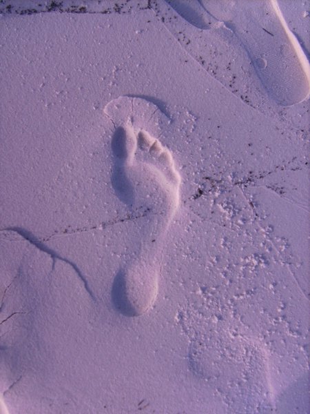 Footprints left on our own Whitehaven