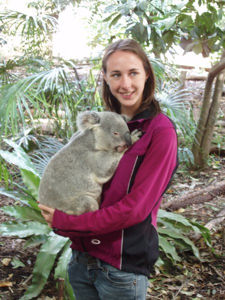 Ellie and the koala