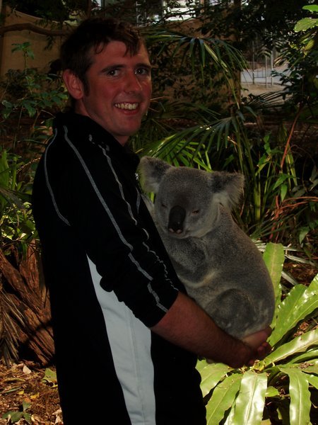 Alex and the koala