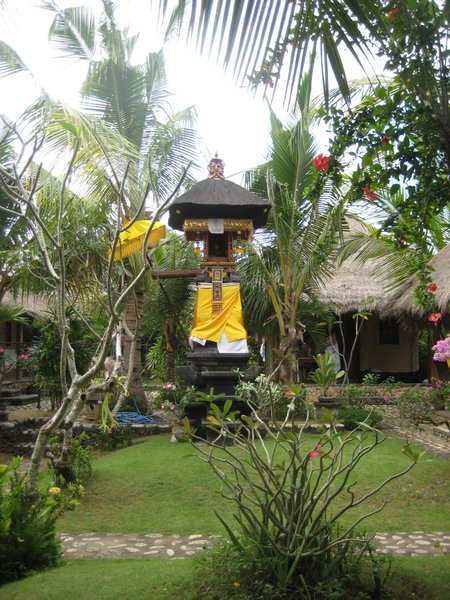 Bukit Bali IMG 8347 (12)