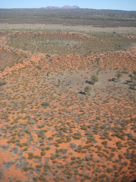 Uluru (7)