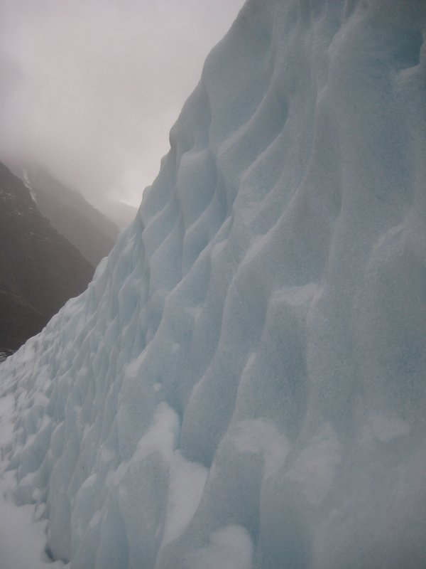 Franz Josef Glacier (12)