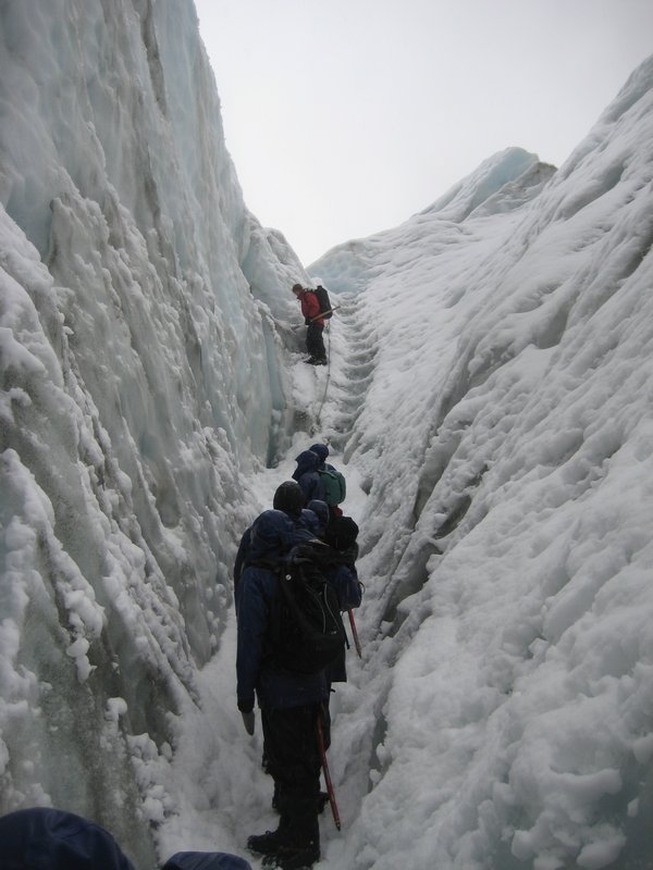 Franz Josef Glacier (14)