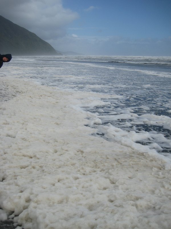 Barrytown foam beach (1)