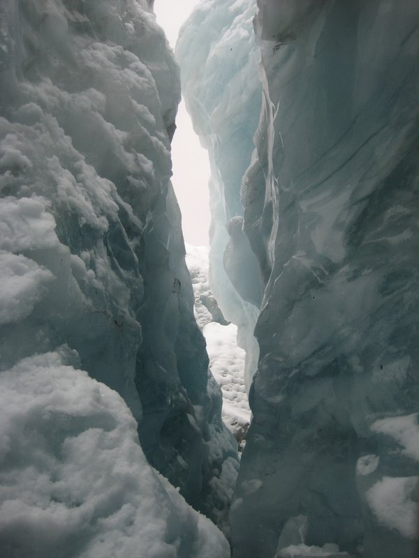 Franz Josef Glacier (9)