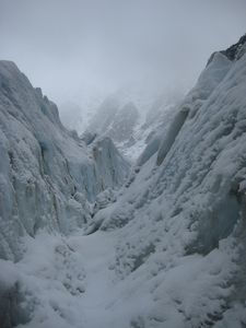 Franz Josef Glacier (8)