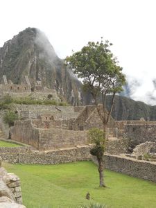 Machu Picchu (17)
