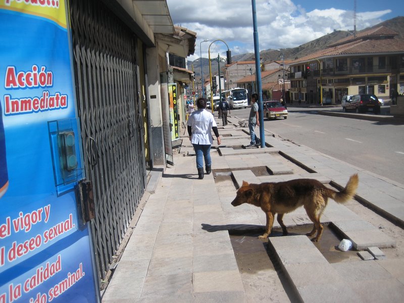 Cusco (9)